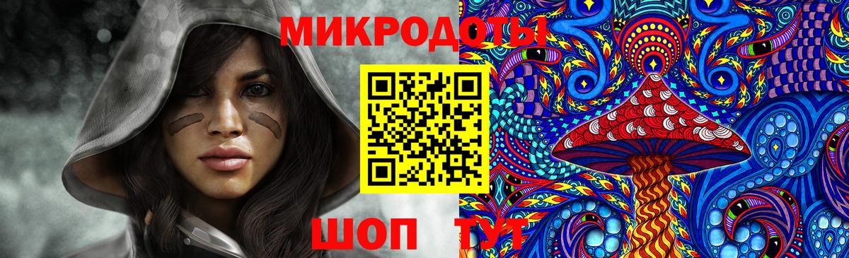 Галлюциногенные грибы мухоморы Сыктывкар