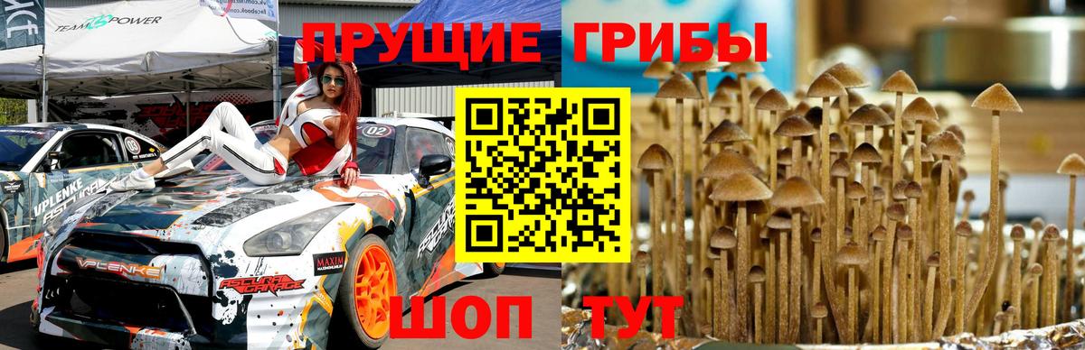 Галлюциногенные грибы ЛСД  Вход с VPN  Псилоцибиновые грибы прущие грибы  Сыктывкар 